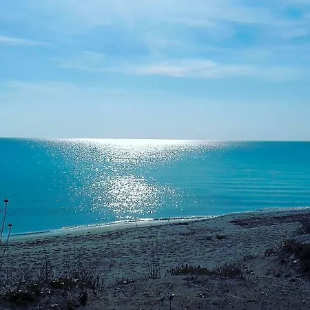 Bed & Breakfast A Casa Di Papi Lizzano (Apulia)